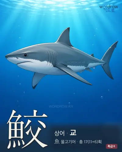 鮫 (상어 교) - 특급Ⅱ 썸네일