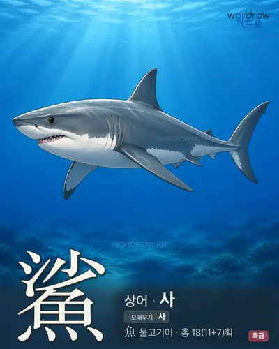 鯊 (상어 사) - 특급 썸네일