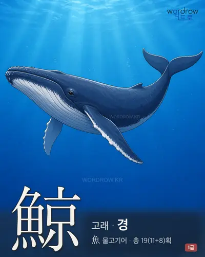 鯨 (고래 경) - 1급 썸네일