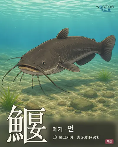 鰋 (메기 언) - 특급 썸네일