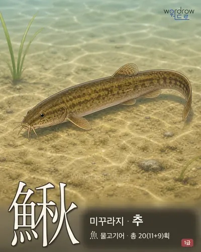 鰍 (미꾸라지 추) - 1급 한자 일러스트 카드