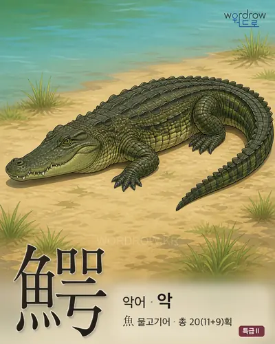 鰐 연상 그림