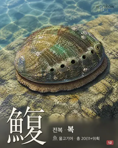 鰒 (전복 복) - 1급 썸네일