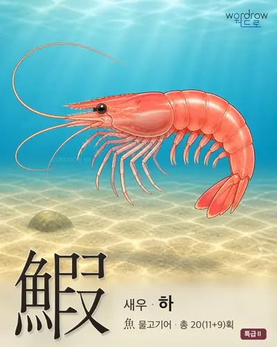 鰕 연상 그림