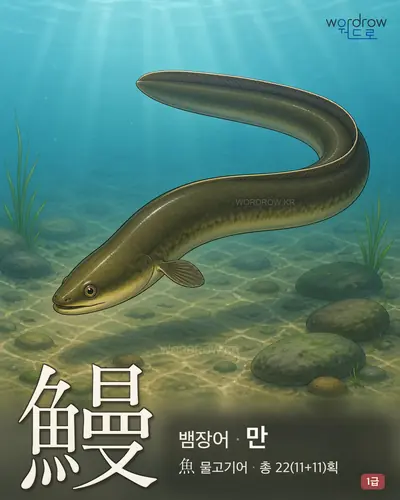 鰻 (뱀장어 만) - 1급 썸네일