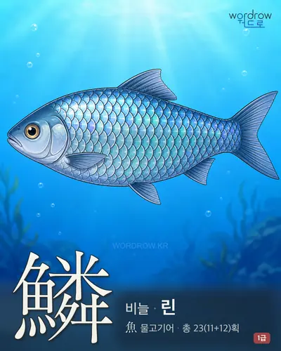 鱗 (비늘 린) - 1급 썸네일