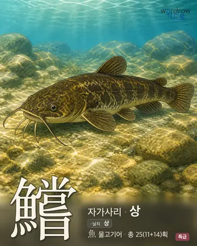 鱨 (자가사리 상) - 특급 썸네일
