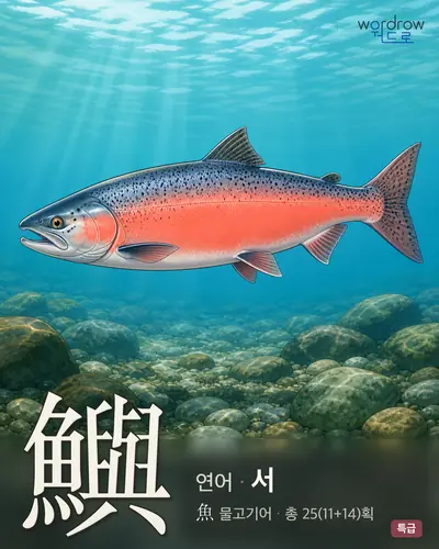 鱮 연상 그림