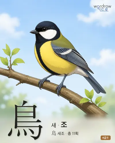 鳥 새