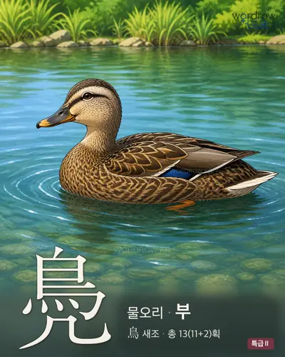 鳧 (물오리 부) - 특급Ⅱ 썸네일
