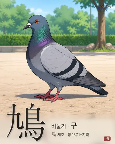 鳩 (비둘기 구) - 1급 썸네일