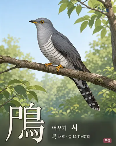 鳲 (뻐꾸기 시) - 특급 한자 일러스트 카드