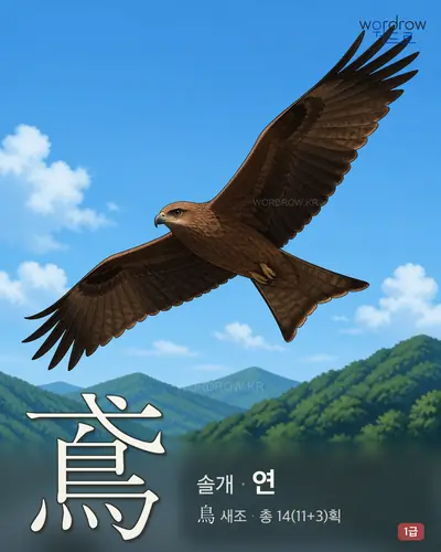 鳶 (솔개 연) - 1급 썸네일