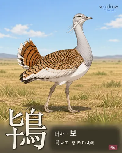 鴇 (너새 보) - 특급 한자 일러스트 카드
