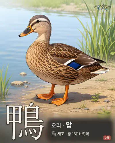 鴨 (오리 압) - 2급 썸네일