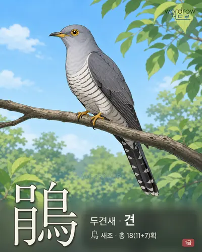 鵑 (두견새 견) - 1급 썸네일
