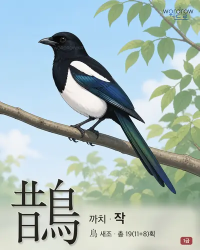 鵲 (까치 작) - 1급 썸네일