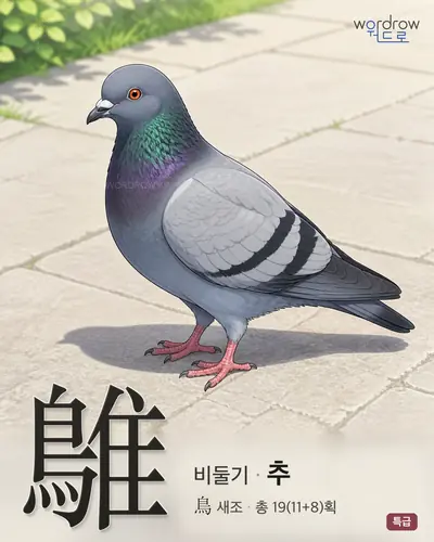 鵻 연상 그림