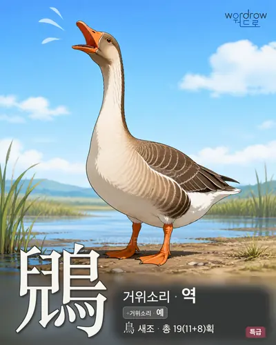 鶂 (거위소리 역) - 특급 한자 일러스트 카드