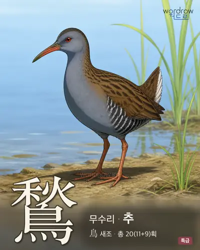 鶖 (무수리 추) - 특급 한자 일러스트 카드