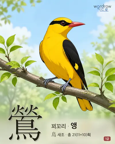 鶯 (꾀꼬리 앵) - 1급 썸네일
