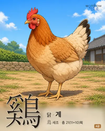 鷄 닭