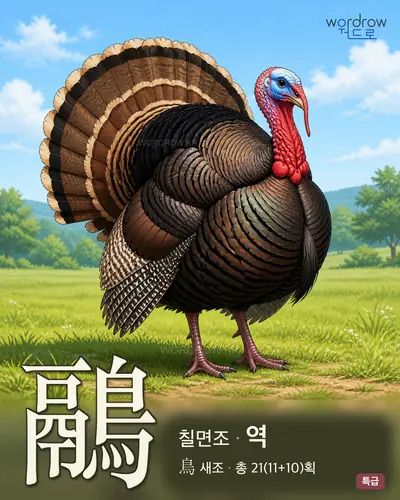 鷊 연상 그림