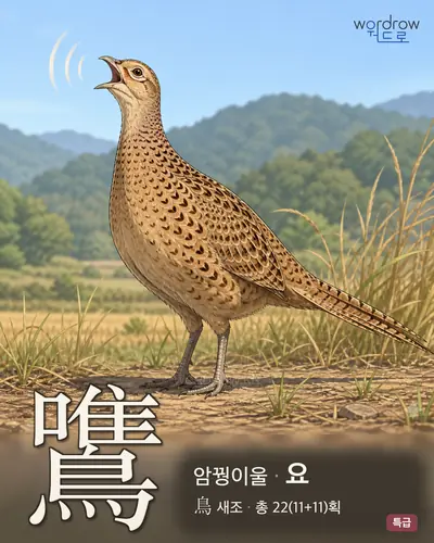 鷕 (암꿩이울 요) - 특급 한자 일러스트 카드