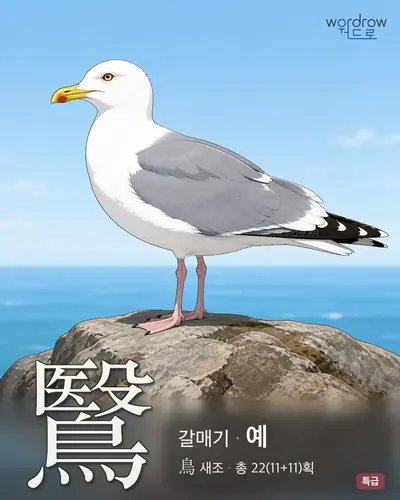 鷖 (갈매기 예) - 특급 한자 일러스트 카드