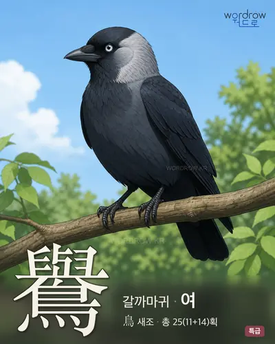 鸒 (갈까마귀 여) - 특급 한자 일러스트 카드