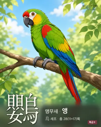 鸚 (앵무새 앵) - 특급Ⅱ 썸네일