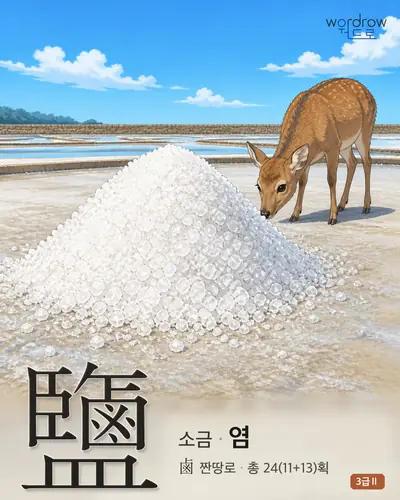 鹽 소금