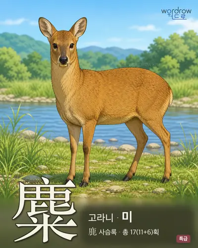 麋 (고라니 미) - 특급 한자 일러스트 카드