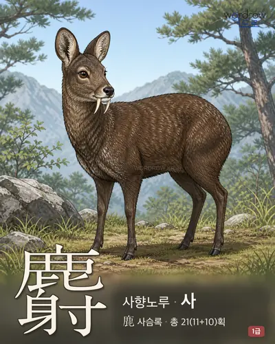 麝 (사향노루 사) - 1급 썸네일