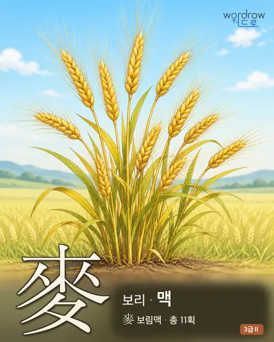 麥 (보리 맥) - 3급Ⅱ 썸네일