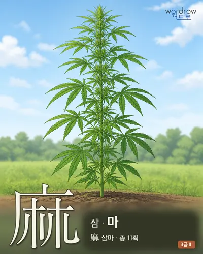麻 (삼 마) - 3급Ⅱ 썸네일