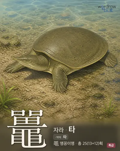 鼉 (자라 타) - 특급 썸네일