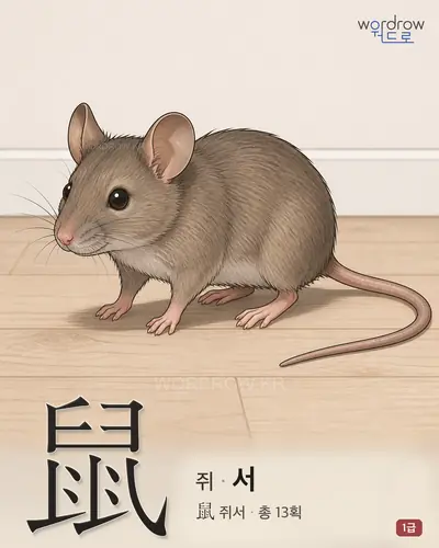 鼠 (쥐 서) - 1급 한자 일러스트 카드
