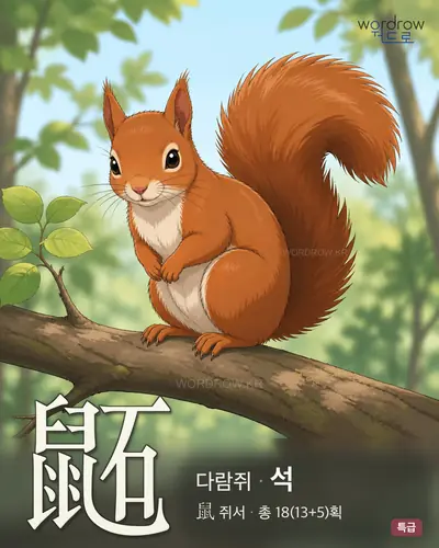 鼫 (다람쥐 석) - 특급 한자 일러스트 카드