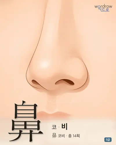 鼻 (코 비) - 5급 썸네일