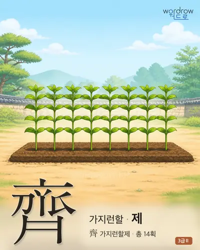 齊 (가지런할 제) 썸네일