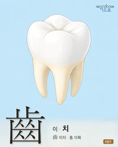 齒 (이 치) - 4급Ⅱ 한자 일러스트 카드