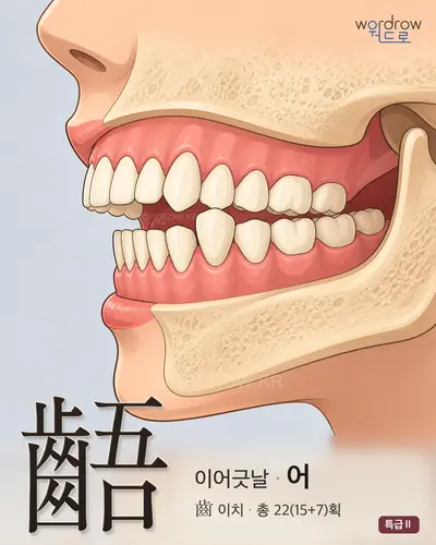 齬 (이어긋날 어) - 특급Ⅱ 한자 일러스트 카드