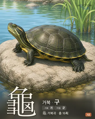 龜 거북