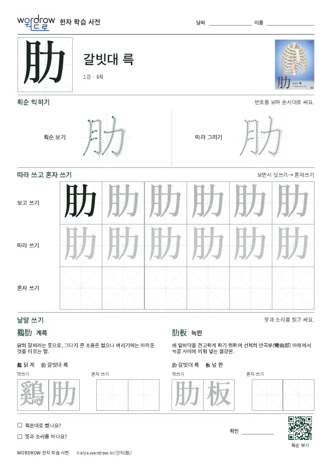 肋 따라쓰기 학습지 A4 미리보기