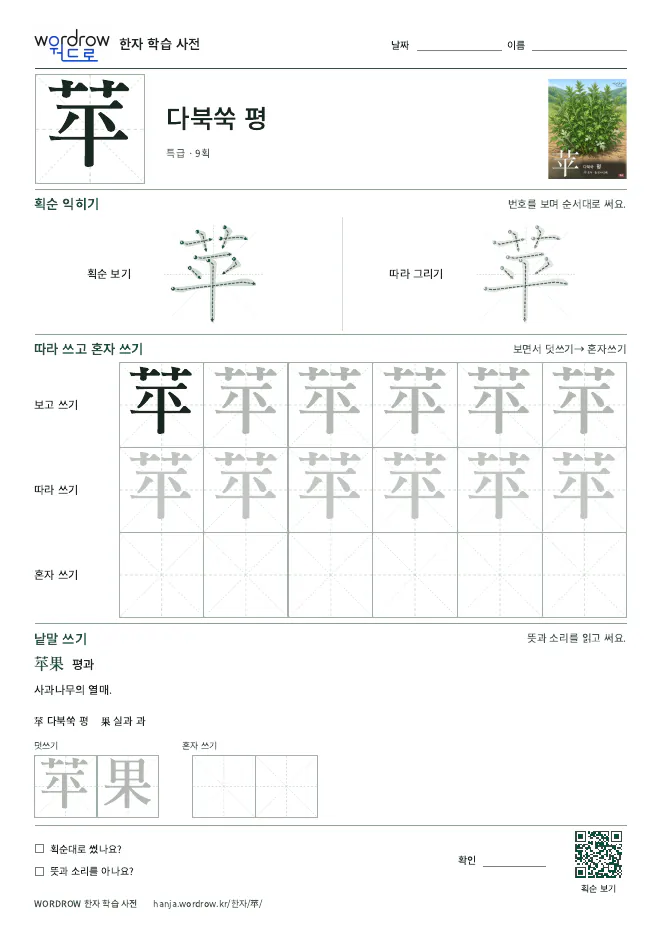 苹 따라쓰기 학습지 A4 미리보기